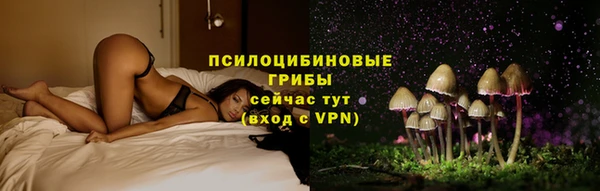 MESCALINE Коряжма