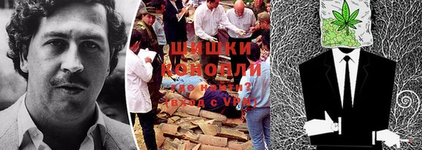 хмурый Козловка