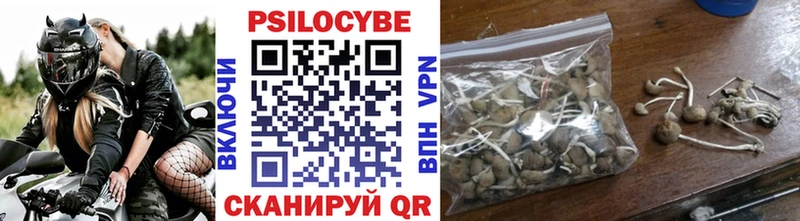 Купить  Судогда  Галлюциногенные грибы мицелий 